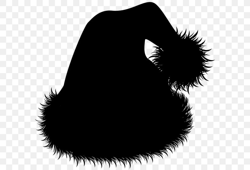 Carnivores Fur Font Snout Black M, PNG, 600x558px, Carnivores, Black Hair, Black M, Costume Accessory, Costume Hat Download Free