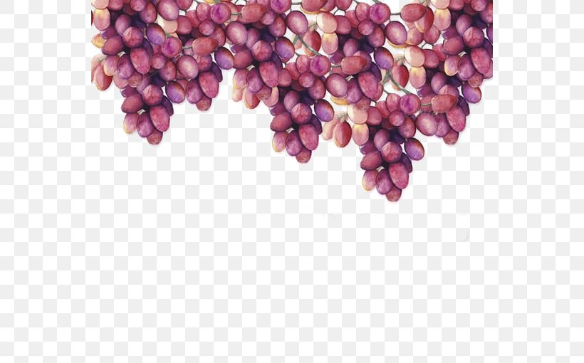 Grape Watercolor Painting Drawing, PNG, 564x510px, Grape, Art, Creative Market, Drawing, Fruit Download Free