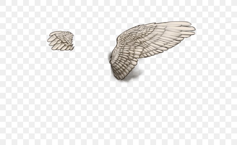 Silver, PNG, 640x500px, Silver, Wing Download Free