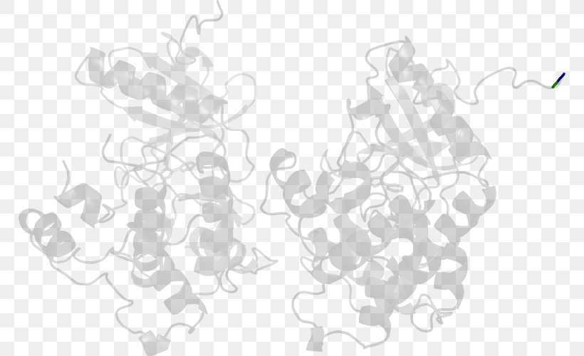White Drawing Line /m/02csf Angle, PNG, 768x500px, White, Black And White, Drawing, Monochrome, Organism Download Free