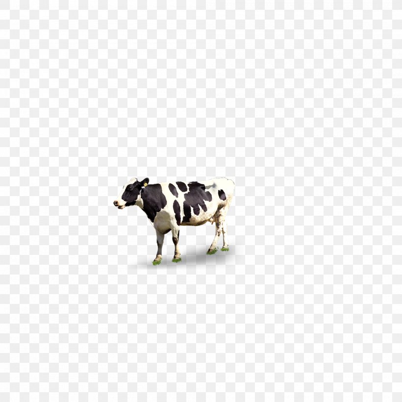 Cattle Pattern, PNG, 2000x2000px, Cattle, Cattle Like Mammal, Livestock Download Free