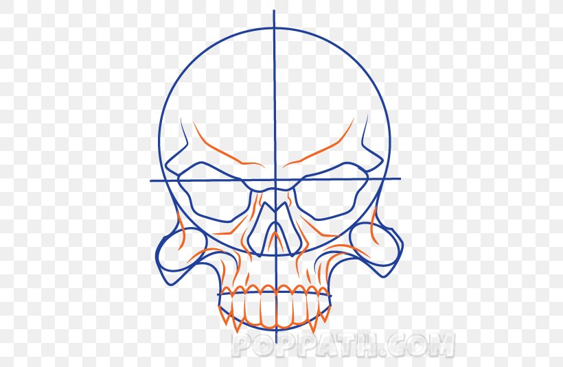 Line Art Point Jaw Clip Art, PNG, 535x535px, Point, Area, Artwork, Bone, Head Download Free