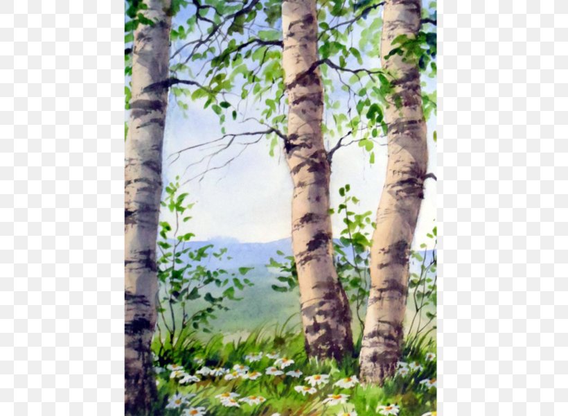 Birch The Starry Night Watercolor Painting Oil Paint, PNG, 600x600px, Birch, Acrylic Paint, Art, Art Museum, Artist Download Free