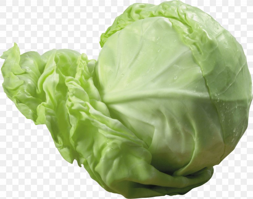 Cabbage Roll Vegetarian Cuisine Stuffing Red Cabbage, PNG, 2995x2361px, Cabbage, Brassica Oleracea, Cauliflower, Collard Greens, Cruciferous Vegetables Download Free
