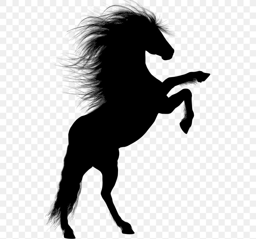 Horse Rearing Unicorn Equestrian, PNG, 529x763px, Horse, Black And White, Drawing, Equestrian, Fictional Character Download Free