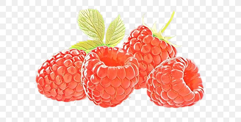 Ice Cream Cartoon, PNG, 699x415px, Raspberry, Accessory Fruit, Berries, Berry, Blackberry Download Free