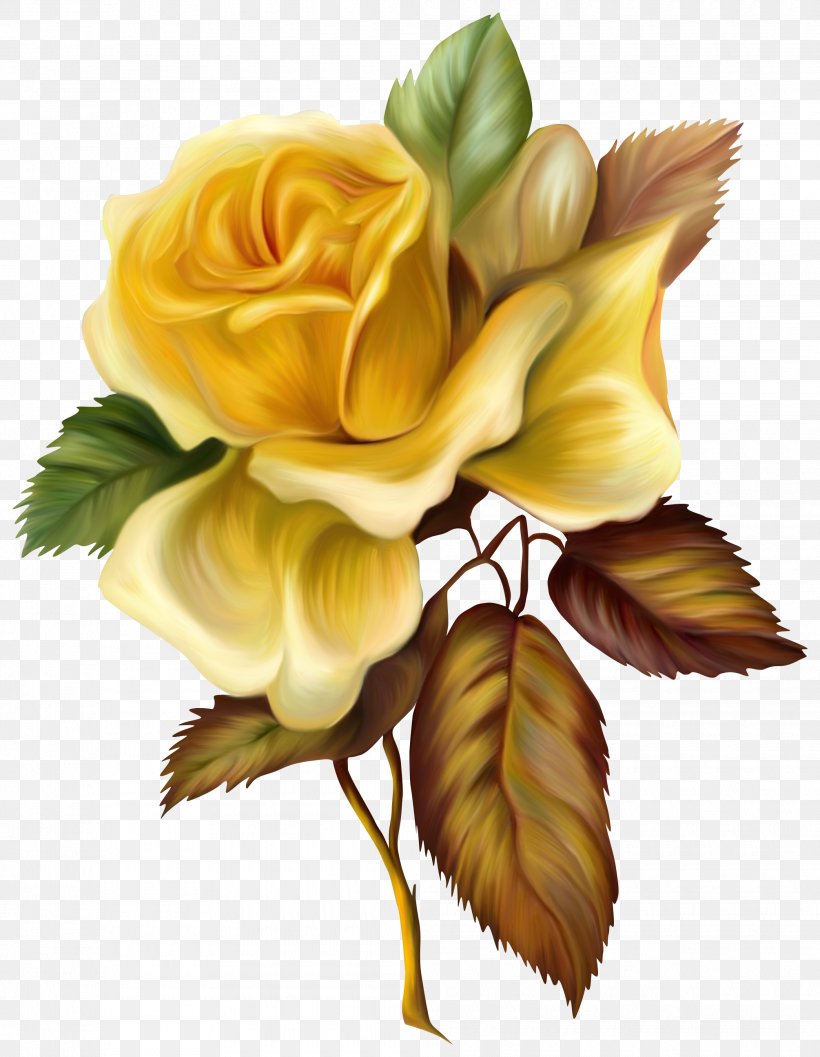 Rose Painting Yellow Flower Clip Art, PNG, 2010x2593px, Rose, Art, Cut Flowers, Drawing, Floral Design Download Free