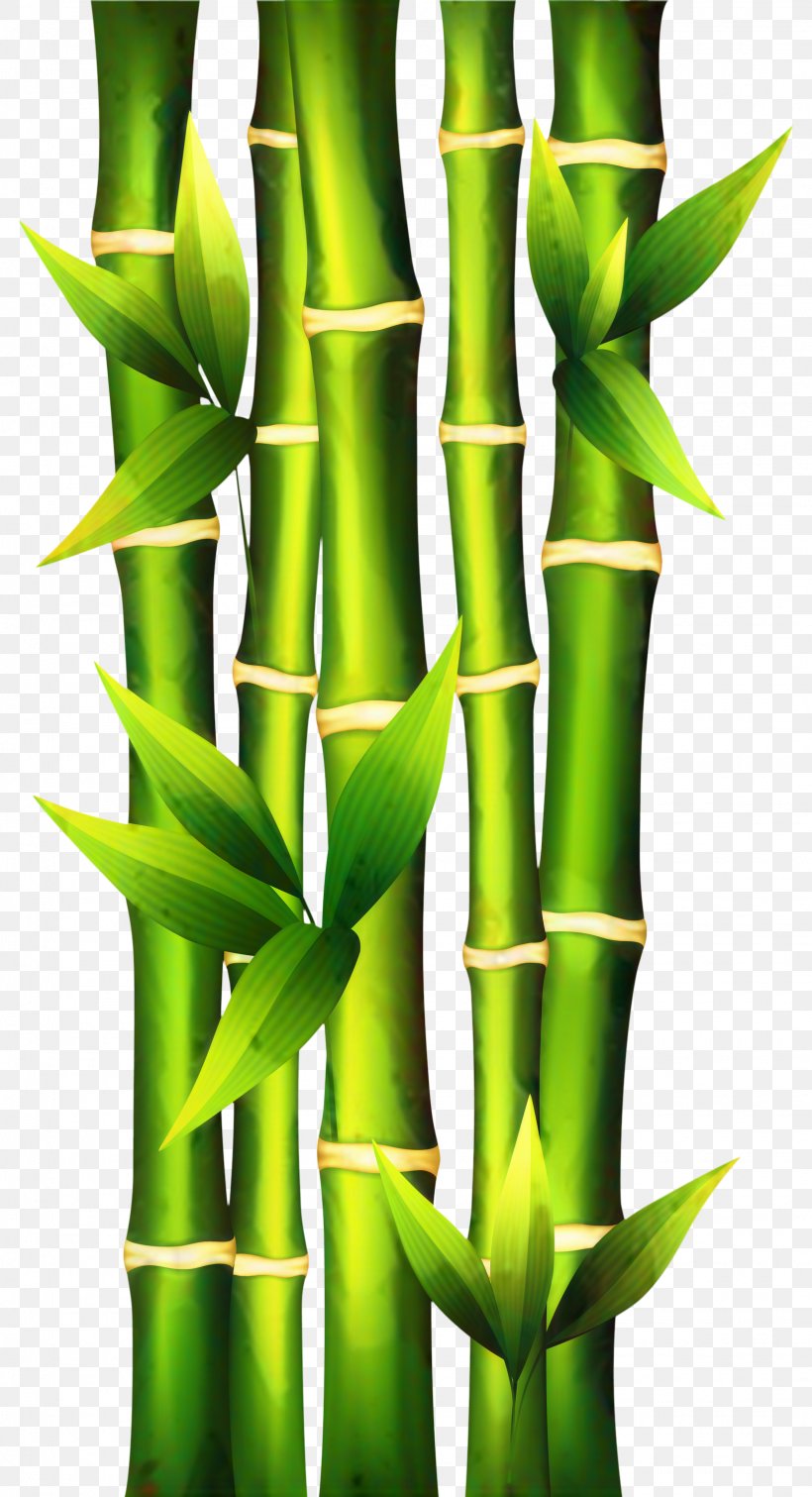 Green Grass Background, PNG, 1625x2995px, Republics Of Russia, Bamboo, Bamboo Shoot, Communication, Flower Download Free