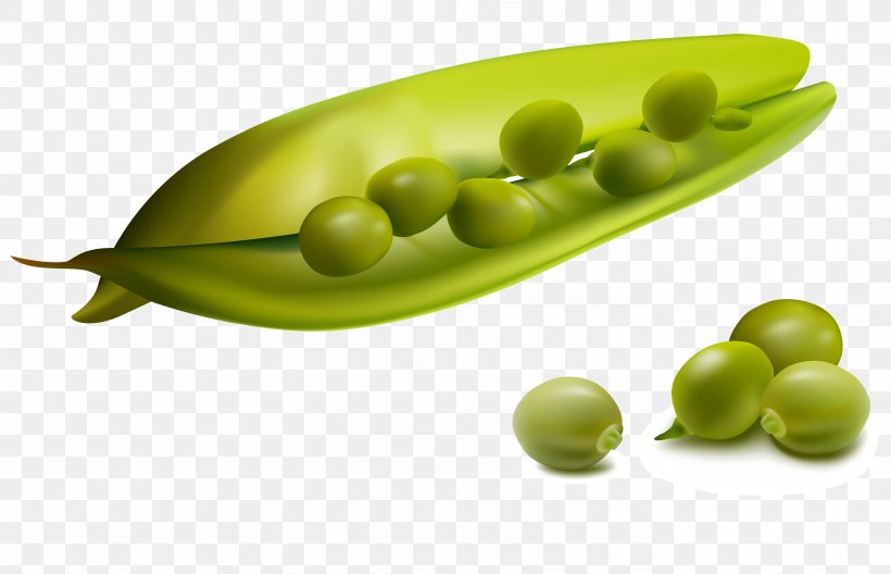 Pea Clip Art, PNG, 5542x3575px, Pea, Bean, Food, Fruit, Green Bean Download Free