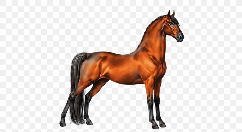 Stallion Mustang Tennessee Walking Horse Thoroughbred Appaloosa, PNG, 600x450px, Stallion, Animal Figure, Appaloosa, Bay, Black Download Free