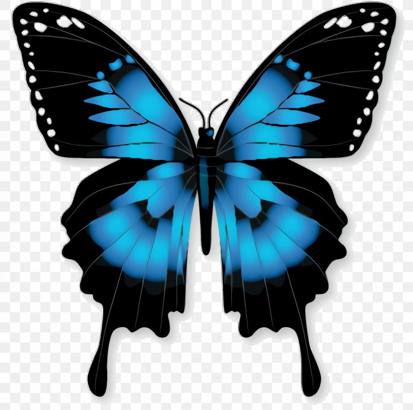 Butterfly, PNG, 1284x1276px, Ulysses Butterfly, Achillides, Birdwing, Brushfooted Butterfly, Butterflies Download Free