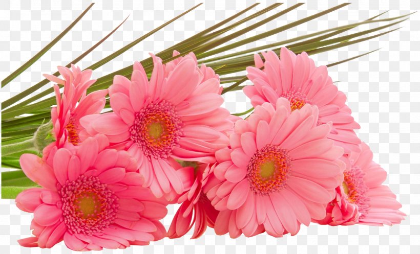 Desktop Wallpaper Flower Bouquet High-definition Television, PNG, 1600x970px, Flower Bouquet, Annual Plant, Artificial Flower, Chrysanths, Cut Flowers Download Free