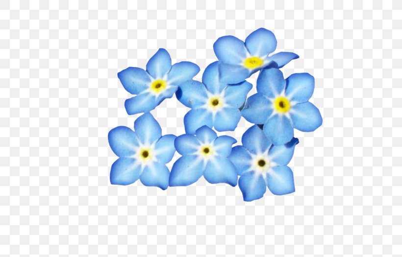 Blue Flower Petal Clip Art, PNG, 700x525px, Blue, Borage Family, Color, Cut Flowers, Flower Download Free