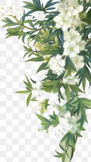 Watercolor White Flower Images Watercolor White Flower Transparent Png Free Download