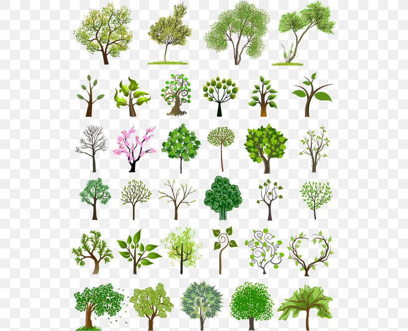Tree Euclidean Vector Illustration, PNG, 532x666px, Tree, Art, Branch, Cdr, Flora Download Free