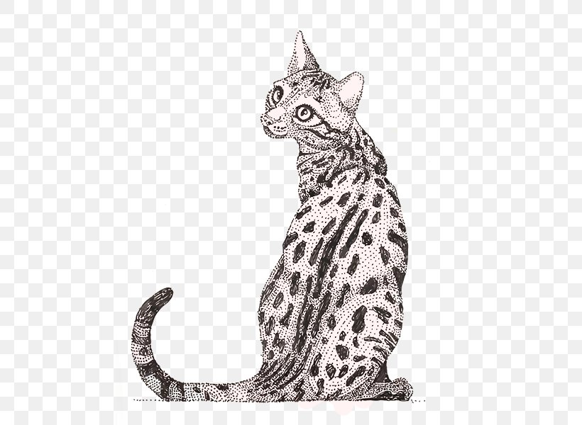 Whiskers Tabby Cat Wildcat Ocelot Ocicat, PNG, 555x600px, Whiskers, Animal, Animal Figure, Art, Big Cats Download Free