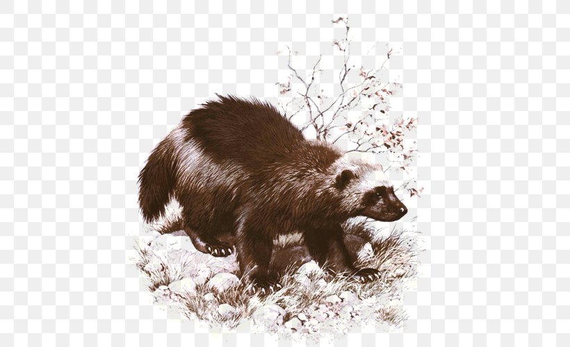 Wolverine Badger Painting Art Animal, PNG, 600x500px, Wolverine, Animal, Art, Art Museum, Artist Download Free