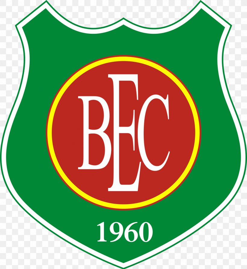 Barretos Esporte Clube Campeonato Paulista Série A3 Associação Atlética Portuguesa, PNG, 1200x1308px, Campeonato Paulista, Area, Brand, Brazil, Football Download Free