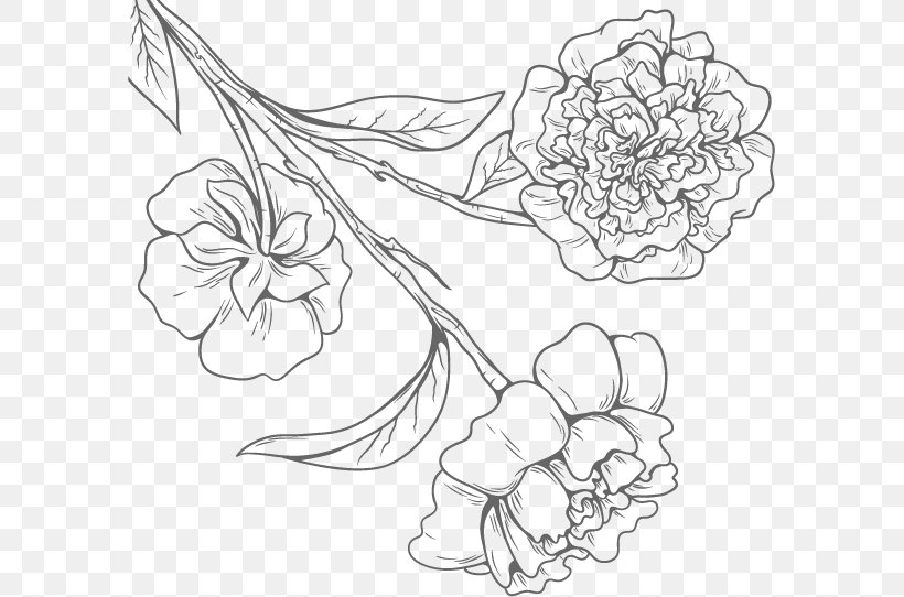 Floral Design Black And White, PNG, 587x542px, Floral Design, Artwork, Black, Black And White, Designer Download Free