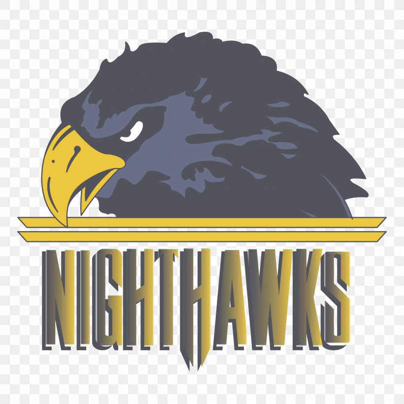 Norfolk Nighthawks Logo Eagle Font, PNG, 2400x2400px, Logo, Accipitriformes, Beak, Bird, Bird Of Prey Download Free