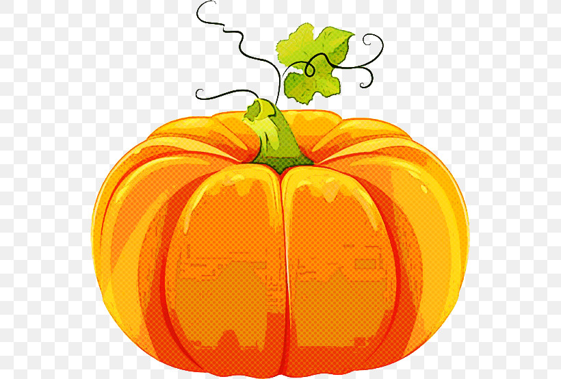 Pumpkin, PNG, 555x554px, Field Pumpkin, Crookneck Pumpkin, Cucurbita Maxima, Giant Pumpkin, Gourd Download Free