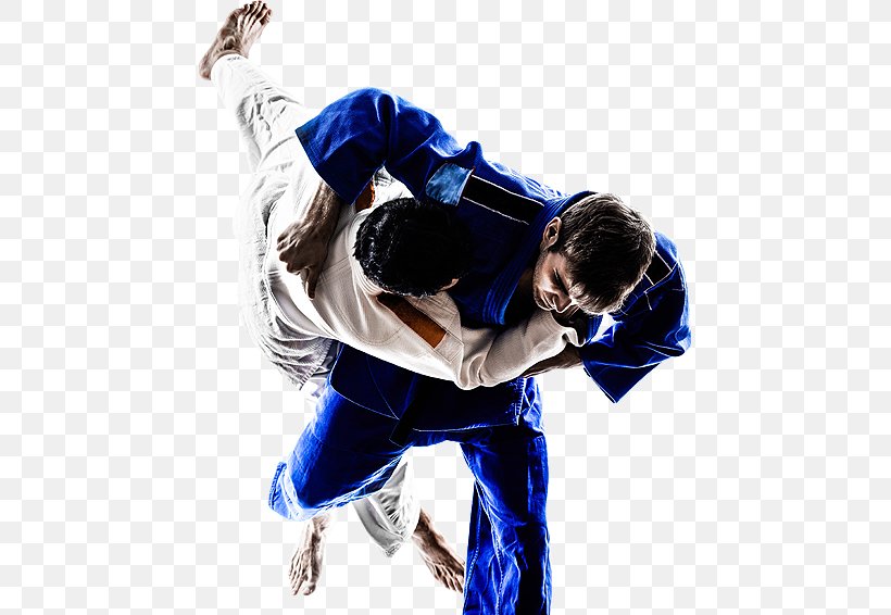 Brazilian Jiu-jitsu Mixed Martial Arts Jujutsu Muay Thai, PNG, 455x566px, Brazilian Jiujitsu, Aikido, Blue, Dancer, Dojo Download Free