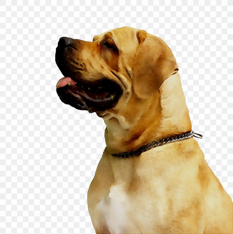 Dog Flea Cat Flea Treatments, PNG, 1446x1450px, Dog, Ancient Dog Breeds, Boerboel, Broholmer, Cane Corso Download Free