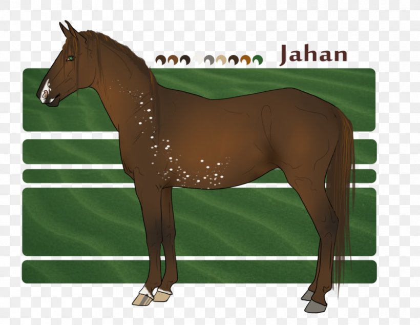 Halter Mane Stallion Mustang Mare, PNG, 1016x786px, Halter, Bridle, Colt, Grass, Horse Download Free