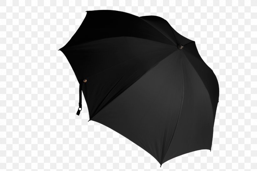 Lockwood Umbrellas Ltd Umbrella Stand, PNG, 1200x800px, Umbrella, Black, Blue, Canopy, Furniture Download Free