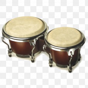 drum conga png 1876x801px drum bongo drum brand conga djembe download free drum conga png 1876x801px drum