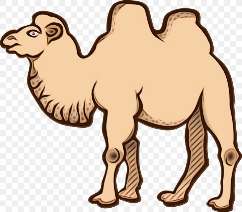 Animal Cartoon, PNG, 821x720px, Dromedary, Animal, Animal Figure, Arabian Camel, Arabian Horse Download Free