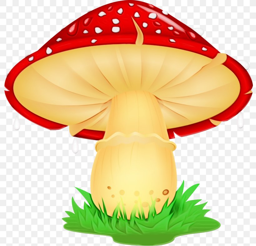 Mushroom Agaric Fungus, PNG, 800x788px, Watercolor, Agaric, Fungus, Mushroom, Paint Download Free