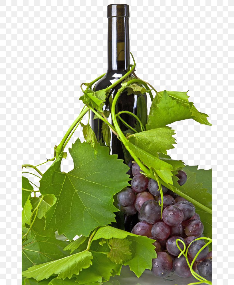 Red Wine Champagne Common Grape Vine, PNG, 667x1000px, Red Wine, Alcoholic Beverage, Bottle, Champagne, Coffee Cup Download Free