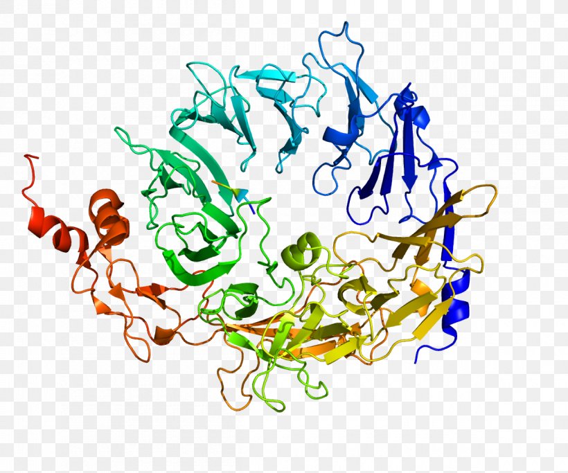 Sortilin 1 PCSK9 Protein Structure Gene Neurotensin Receptor, PNG, 1200x1000px, Protein Structure, Alirocumab, Apolipoprotein, Art, Artwork Download Free