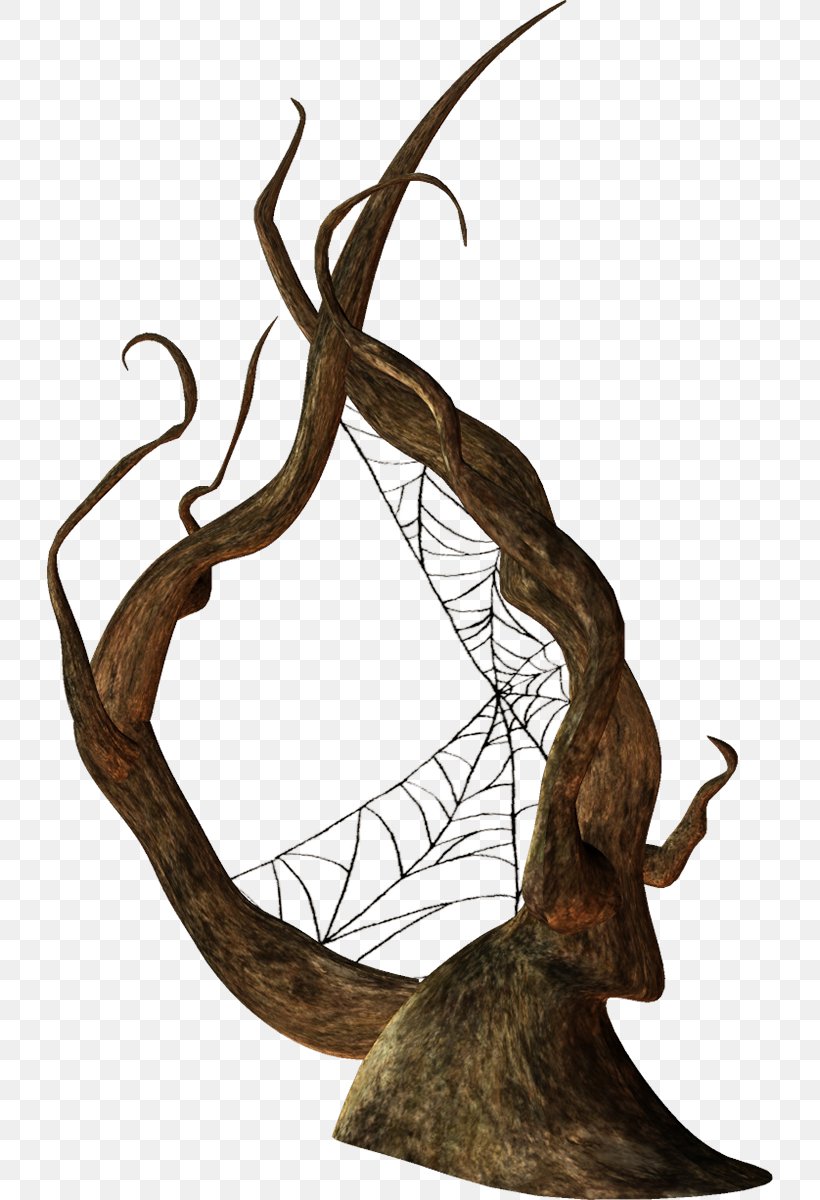 Spider Web Image Twig Message, PNG, 726x1200px, Spider, Antler, Branch, Fictional Character, Friendship Download Free