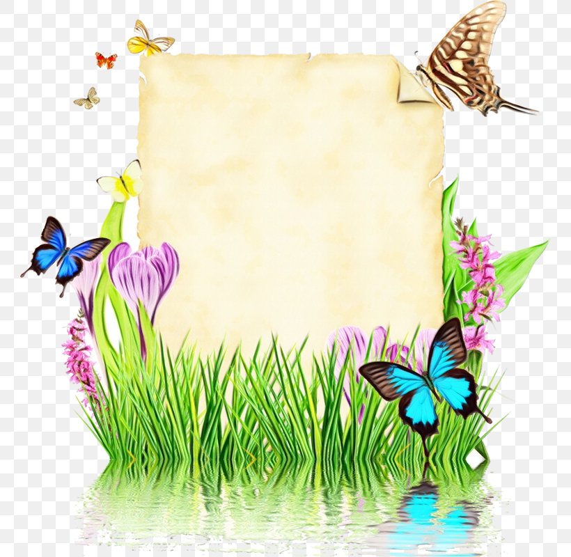 Flower Background Frame, PNG, 762x800px, Brushfooted Butterflies, Butterfly, Fairy, Flower, Insect Download Free