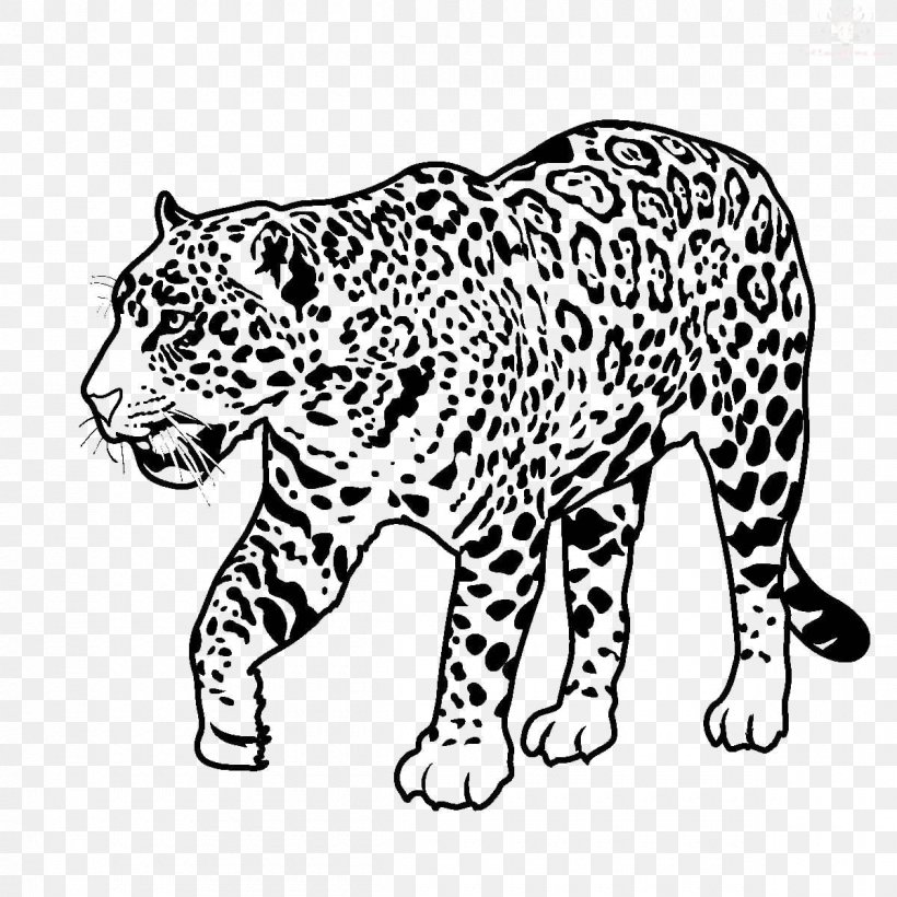 Jaguar Black Panther Clip Art Drawing Leopard, PNG, 1200x1200px, Jaguar, Animal Figure, Area, Big Cats, Black And White Download Free