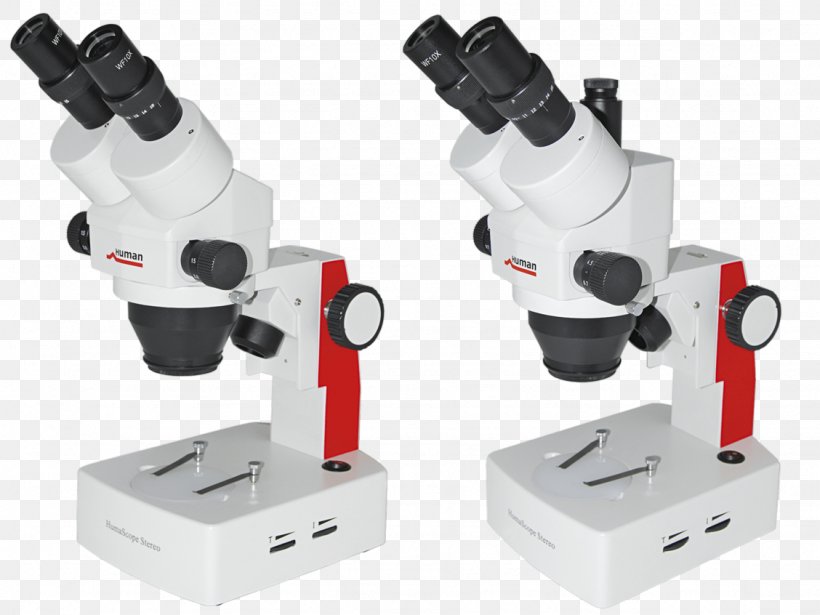 Stereo Microscope Optics Fluorescence Microscope Eyepiece, PNG, 1128x846px, Microscope, Achromatic Lens, Eyepiece, Fluorescence Microscope, Focus Download Free