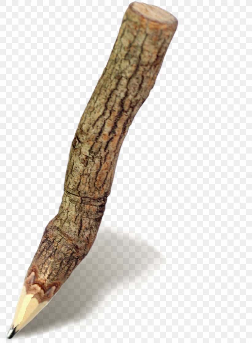 Bark Tree Pencil, PNG, 1183x1612px, Bark, Autumn Leaf Color, Business, Chemical Element, Company Download Free