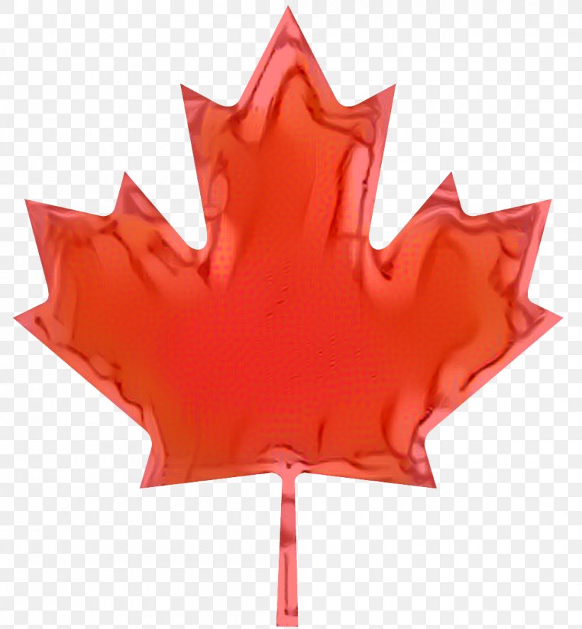 Flag Of Canada National Flag National Symbols Of Canada, PNG, 1000x1081px, Flag Of Canada, Canada, Carmine, Coquelicot, Flag Download Free