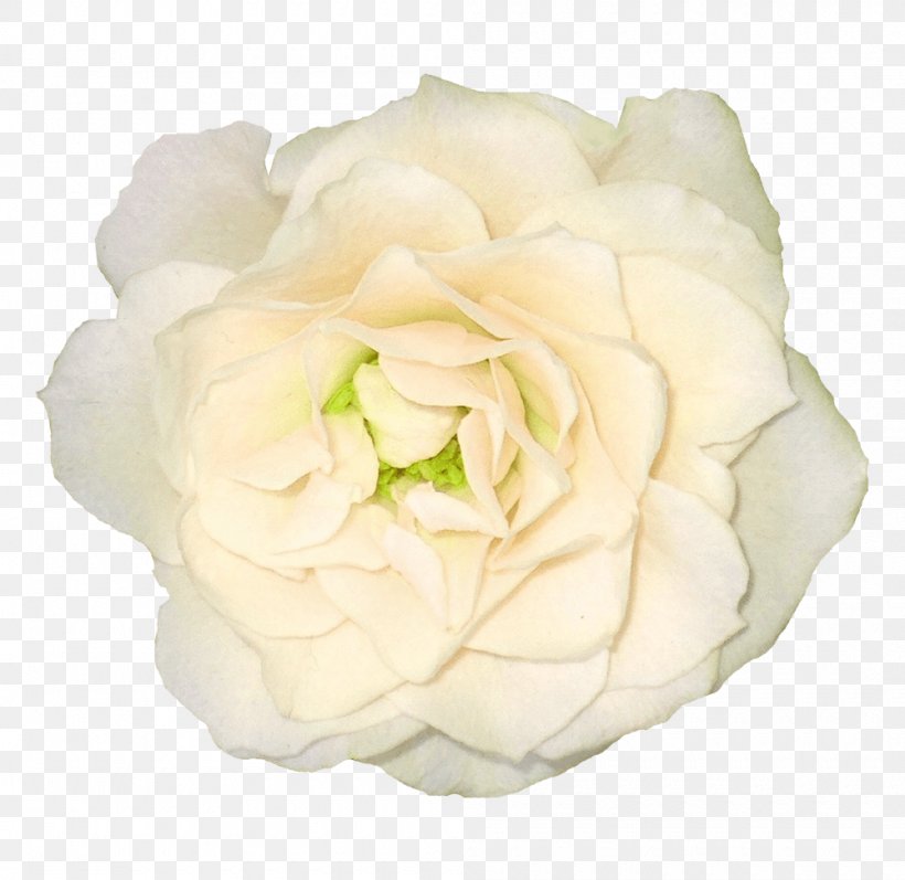 Flower Bouquet Rose, PNG, 1000x973px, Flower, Artificial Flower, Cut Flowers, Floribunda, Floristry Download Free