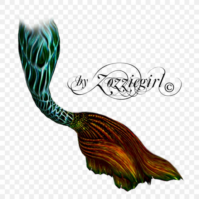 Mermaid Tail Clip Art, PNG, 894x894px, Mermaid, Deviantart, Feather, Fictional Character, Information Download Free