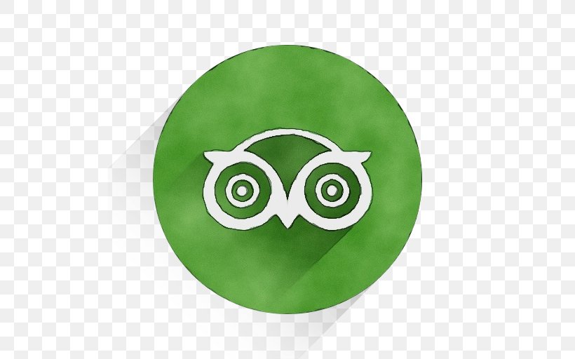 Owl Green Plate Bird Of Prey Bird, PNG, 512x512px, Watercolor, Bird, Bird Of Prey, Dishware, Green Download Free