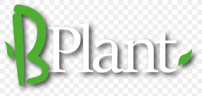 Plants Logo Product Design Font, PNG, 905x432px, Plants, Brand, Grasses, Green, Logo Download Free