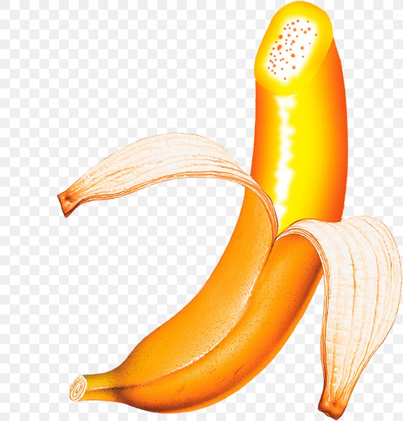 Banana Pudding Fruit Computer File, PNG, 1629x1703px, Banana, Auglis, Banana Family, Banana Peel, Banana Pudding Download Free