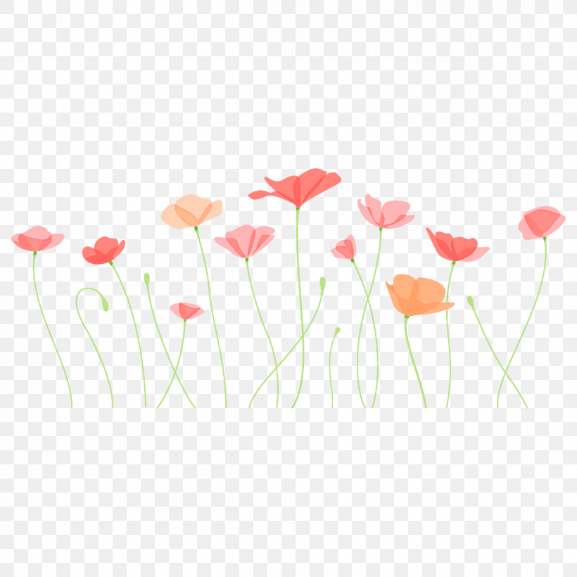 Poppy Flower, PNG, 1200x1200px, Poppy Flower, Coquelicot, Corn Poppy, Flower, Pedicel Download Free