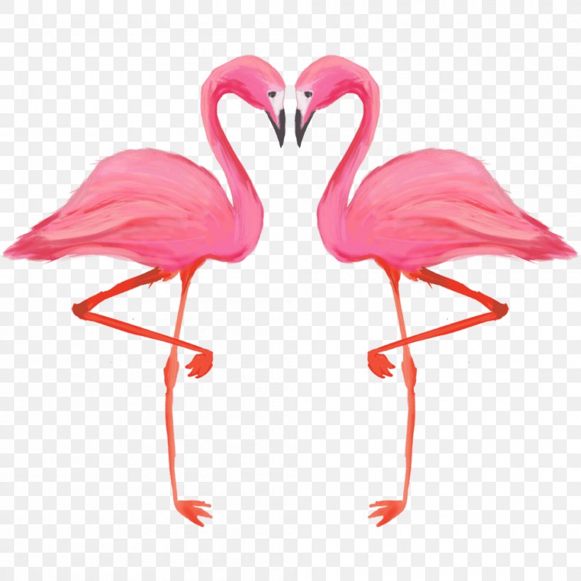 Bird Greater Flamingo American Flamingo, PNG, 1000x1000px, Bird, American Flamingo, Andean Flamingo, Beak, Chilean Flamingo Download Free