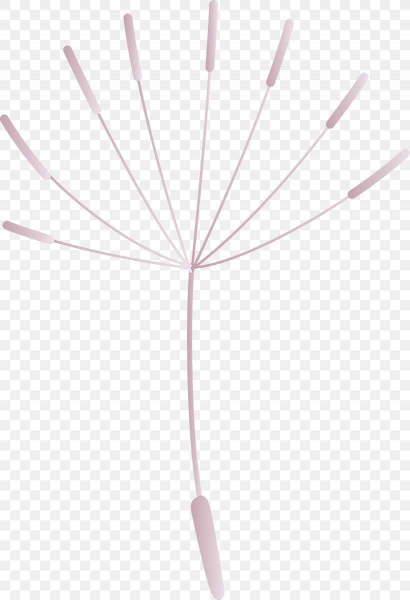 Dandelion, PNG, 2050x2999px, Dandelion, Electrical Cable, Geometry, Line, Mathematics Download Free