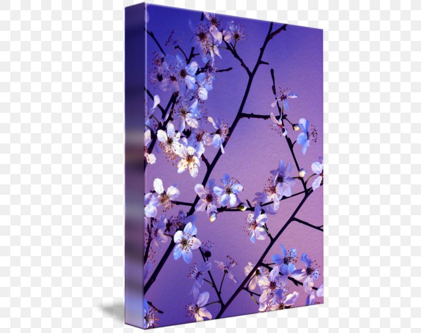 Flower Floral Design Petal, PNG, 452x650px, Flower, Art, Blossom, Branch, Cherry Blossom Download Free