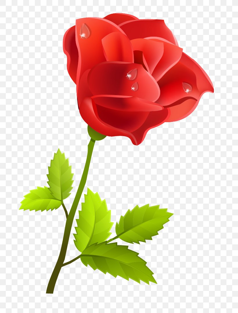Rose Clip Art, PNG, 765x1076px, Rose, Bud, China Rose, Cut Flowers ...